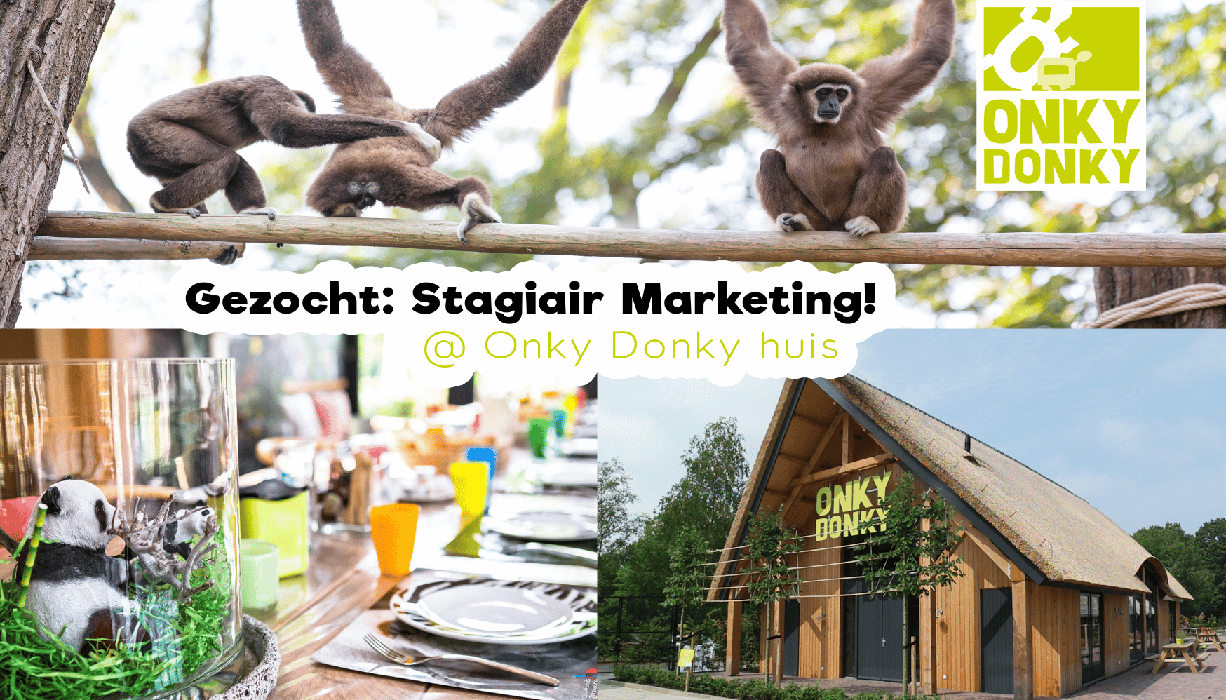 Stagiair Marketing