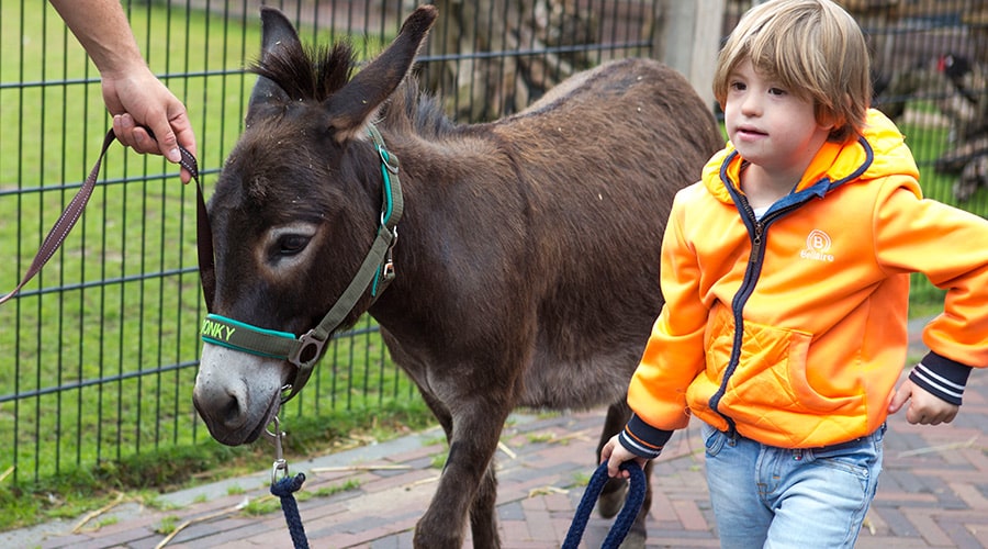 Belastingvrije schenking particulier